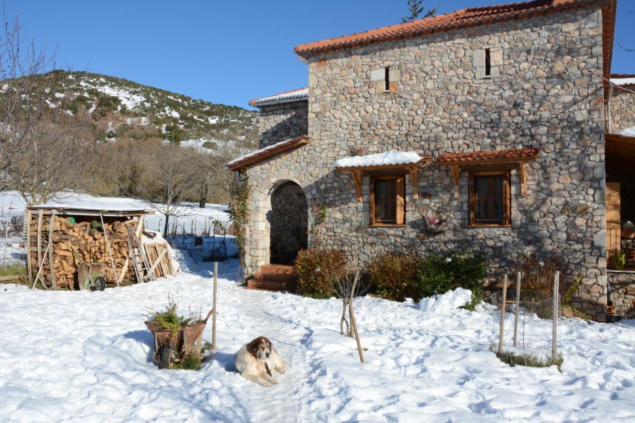 Country Stone House ,Next To Kalavrita Βίλα Εξωτερικό φωτογραφία